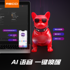 锐思/RECCI 斗牛犬蓝牙音箱