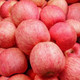 农家自产 新鲜红富士苹果90果19.9元5斤