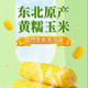 邮品味 鲜食穗黄糯玉米10穗/箱