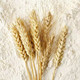 鲁花 熊猫系列 麦芯小麦粉 5kg