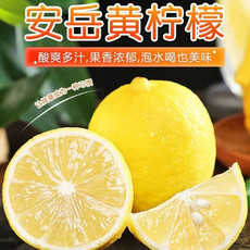  崇研鲜果 安岳黄柠檬2斤装（10-12个） 新鲜清香酸味浓郁汁多肉脆