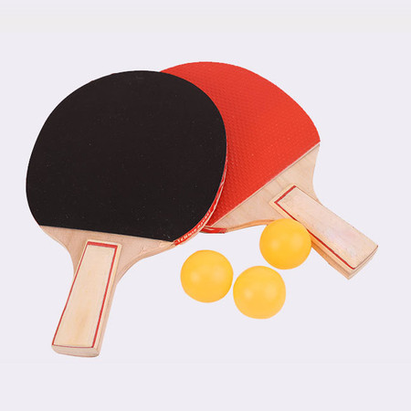 刺狐 专业训练比赛乒乓球拍横拍单拍初学者首选自由伸缩乒乓球网架套装图片