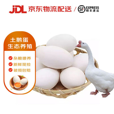 蔬香客 新鲜土鹅蛋 12枚装（单枚重量120-140克））图片