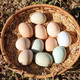 鲜小盼  土鸡蛋30枚农村散养批发山鸡野鸡草鸡蛋供应鲜鸡蛋