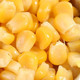 鲜小盼 玉米新鲜糯玉米非转基因正空包装早餐黄糯玉米4棒营养甜糯鲜食