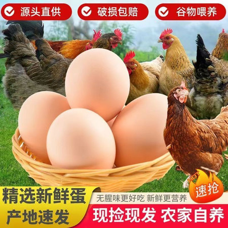 鲜小盼 新鲜自养农家散养20个柴鸡蛋无激素笨鸡蛋宝宝土鸡蛋谷物蛋图片