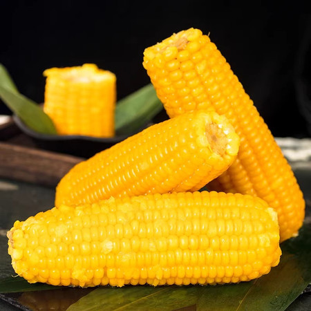 鲜小盼 新鲜黄玉米10根大棒早餐玉米棒黄糯玉米甜玉米真空玉米图片