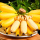 鲜小盼 正宗广西小米蕉香蕉新鲜9斤当季水果薄皮小香蕉甜香蕉苹果蕉