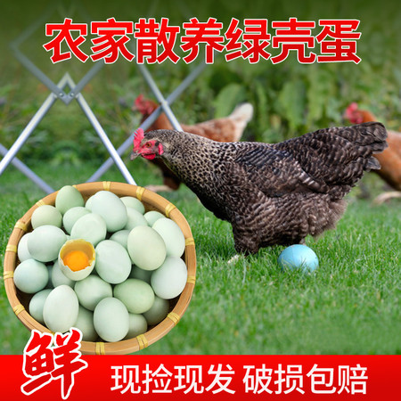 鲜小盼 绿壳山鸡蛋【10枚】新鲜乌鸡蛋正宗农家散养土鸡蛋图片