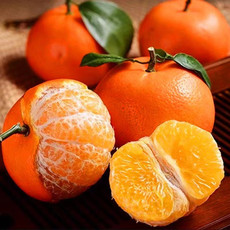 鲜小盼 【帮扶】广西沃柑 2斤 新鲜水果柑橘当季老农亲选 高品质