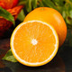 鲜小盼 【助农】正宗湖北伦晚脐橙10斤新鲜水果品质酸甜香橙现摘秭归橙