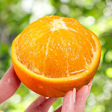 鲜小盼 正宗四川春见果冻橙5斤爆浆车子时令水果新鲜橘子当季