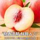 鲜小盼 【助农】正宗湖北桃子新鲜水果当季5斤应季脆甜多汁