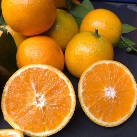 鲜小盼 【助农】夏橙甜橙水果橙子新鲜3斤脐橙伦晚榨汁 鲜嫩多汁图片