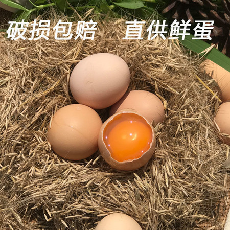 鲜小盼  土鸡蛋【30枚】农村散养批发山鸡野鸡草鸡蛋供应鲜鸡蛋图片