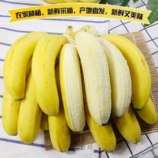 鲜小盼 香蕉1斤 新鲜现摘当季香蕉巴西蕉软糯香甜小孩水果
