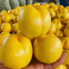 鲜小盼 黄油桃桃子3斤大果新鲜水果脆甜桃子黄油桃时令生鲜 脆甜多汁