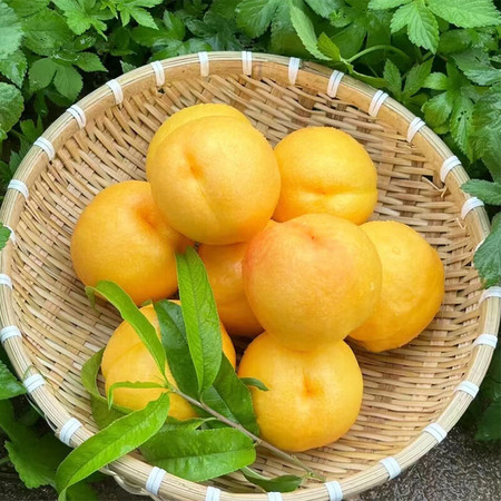 鲜小盼 黄金油桃5斤大油桃当季生鲜夏日尝鲜新鲜水果大桃子黄金油桃图片
