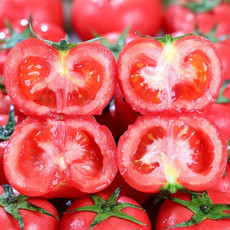 鲜小盼 【助农】普罗旺斯西红柿 3斤 新鲜美味番茄个大饱满