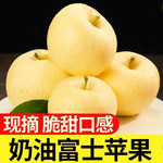 鲜小盼 黄金奶油富士【4.5斤】脆甜山东烟台冰糖心苹果非金帅新鲜当季