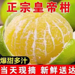 鲜小盼 广西皇帝柑3斤大果新鲜当季水果整箱蜜桔橘子贡柑非砂糖桔子沃柑