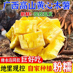 鲜小盼 广西【黄肉木薯】3斤现挖黄心蛋黄木薯糖水店用木薯羹板栗黄金薯