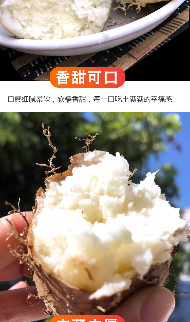 鲜小盼 茂名农家自种毛薯3斤 甜薯田薯现挖粉糯白薯山药