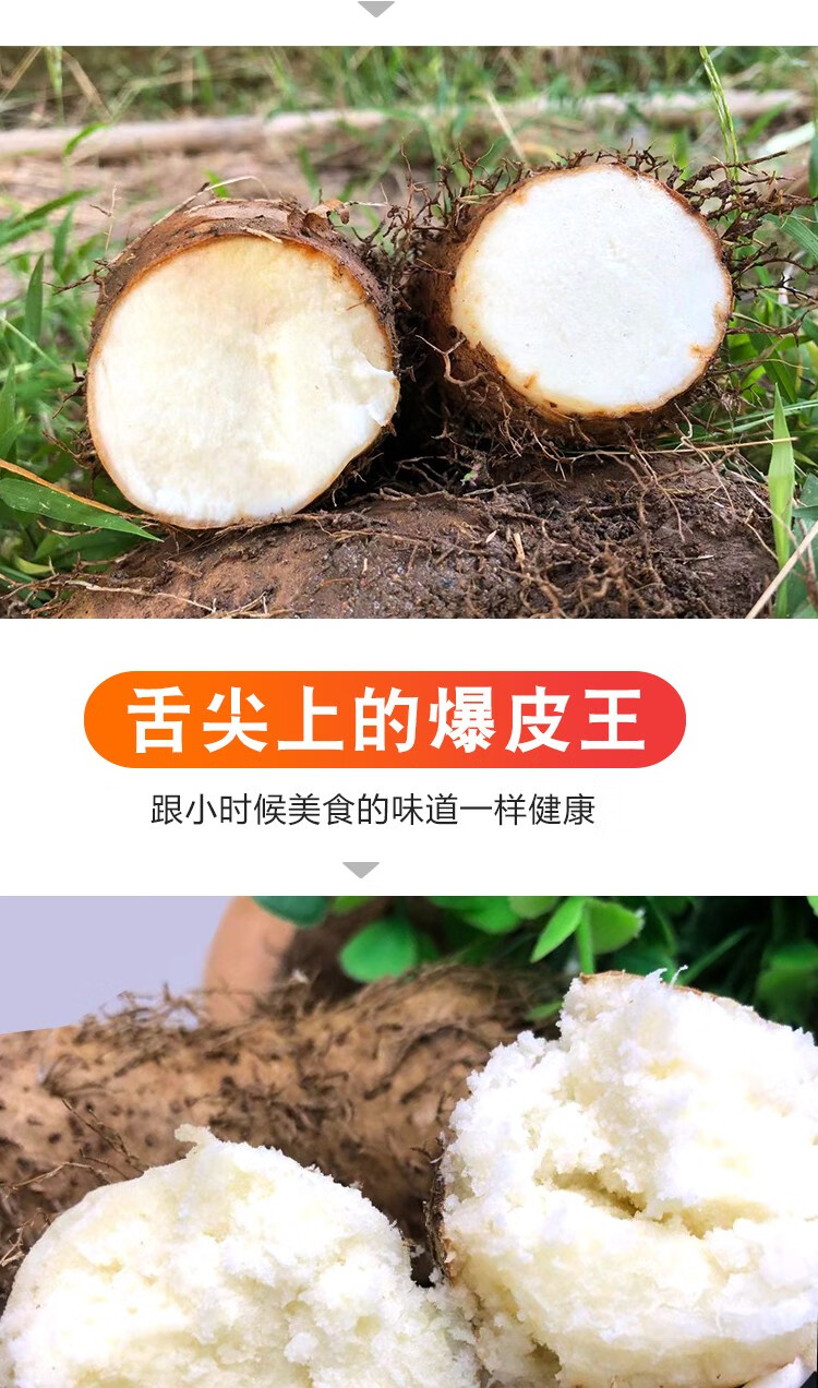 鲜小盼 茂名农家自种毛薯3斤 甜薯田薯现挖粉糯白薯山药