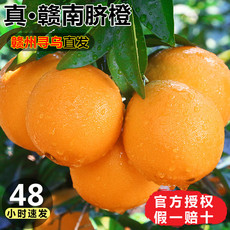 日维多 赣南脐橙5斤装70-80mm标准中果 香甜多汁