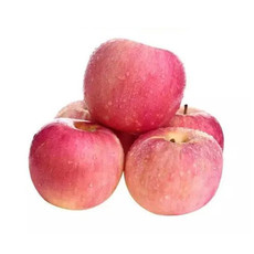 农家自产 洛川红富士苹果新鲜脆甜4.5-5斤【7-9个】