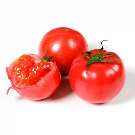 农家自产 普罗旺斯番茄4-4.5斤大果