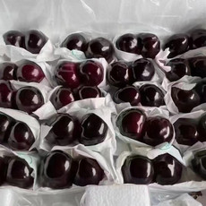 农家自产 汉源基地精选高山甜樱桃-黑珍珠套袋果（产地现摘直发）