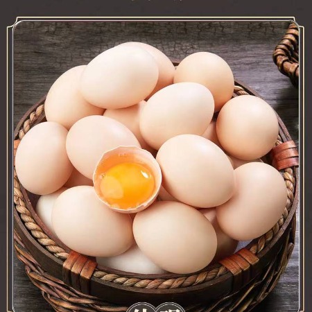 农家自产 15枚鲜鸡蛋（洋鸡蛋） 15个