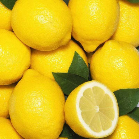 农家自产 【会员享实惠】安岳宝森柠檬鲜果1-2.5级2.5kg