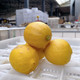 农家自产 （川工带川货）安岳宝森柠檬3级果2.5kg