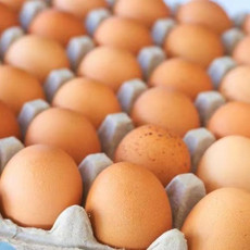 农家自产 新鲜鸡蛋
