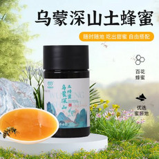 乌蒙勇辉 天然成熟封盖蜜中蜂土蜂蜜250g/瓶