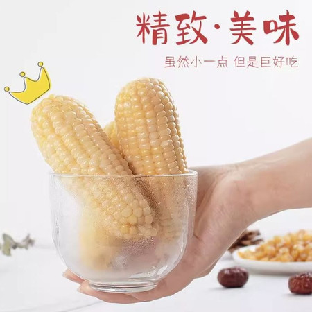 冰国 黑龙江巴彦白娃娃玉米图片