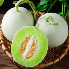 洛阳农品 农家自产 玉茹冰激凌甜瓜9斤（精品大果）现摘新鲜水果