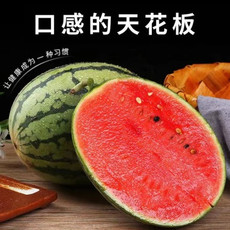 洛阳农品 农家自产 麒麟小西瓜4-5斤(2个装) 新鲜水果