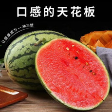 洛阳农品 农家自产 麒麟小西瓜4-5斤(1-2个装) 新鲜水果