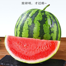 洛阳农品 农家自产 2k麒麟小西瓜5-6斤（精品瓜）果园现摘新鲜水果西瓜