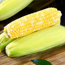  洛阳农品 农家自产 嵩县新鲜水果玉米2.5kg当季现摘甜玉米嫩玉米