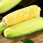 洛阳农品 农家自产 新鲜水果玉米2.5kg当季现摘甜玉米嫩玉米