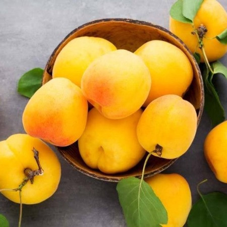  洛阳农品 农家自产 大黄桃5斤（精品大果）现摘新鲜水果桃子图片
