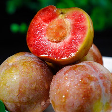  洛阳农品 农家自产 血丝李2.5kg酸甜红心水果李子当季现摘新鲜水果