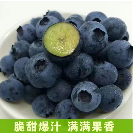 中国邮政 玫瑰香脆口蓝莓（14-18mm）L25图片