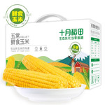 十月稻田 鲜食玉米2.2kg