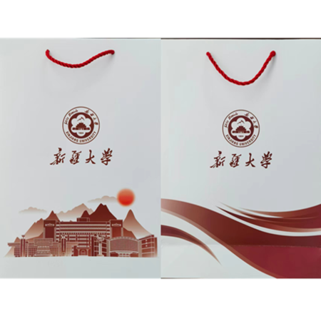 中国邮政 新疆大学校园文创 纸质手提袋图片