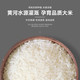 绿多源 昊王长粒香米5kg黄河水灌溉 品质大米 自然原香浓郁大米